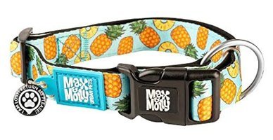 Max & Molly Ananas Deniz Mavisi Ayarlanabilir Boyun Köpek Tasması Çok Renkli