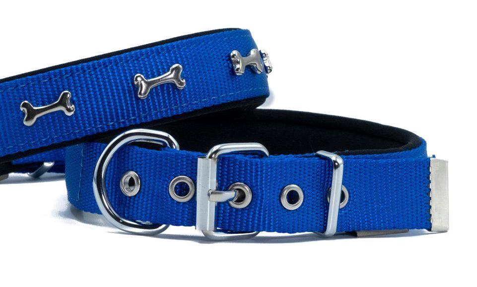 Doggie Ayarlanabilir 42-50 cm Boyun Köpek Tasması Mavi
