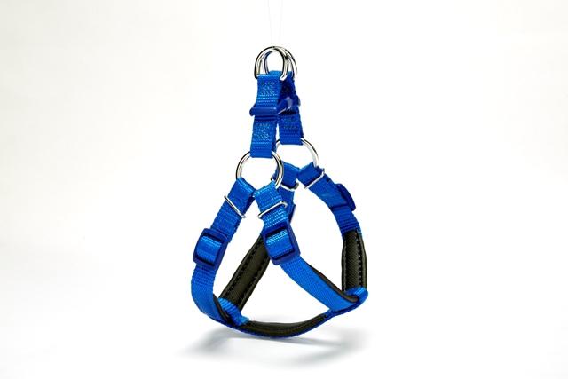 Doggie Ayarlanabilir 40-45 cm Göğüs Köpek Tasması Mavi