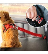 Duffa Sırt Köpek Tasması Kırmızı