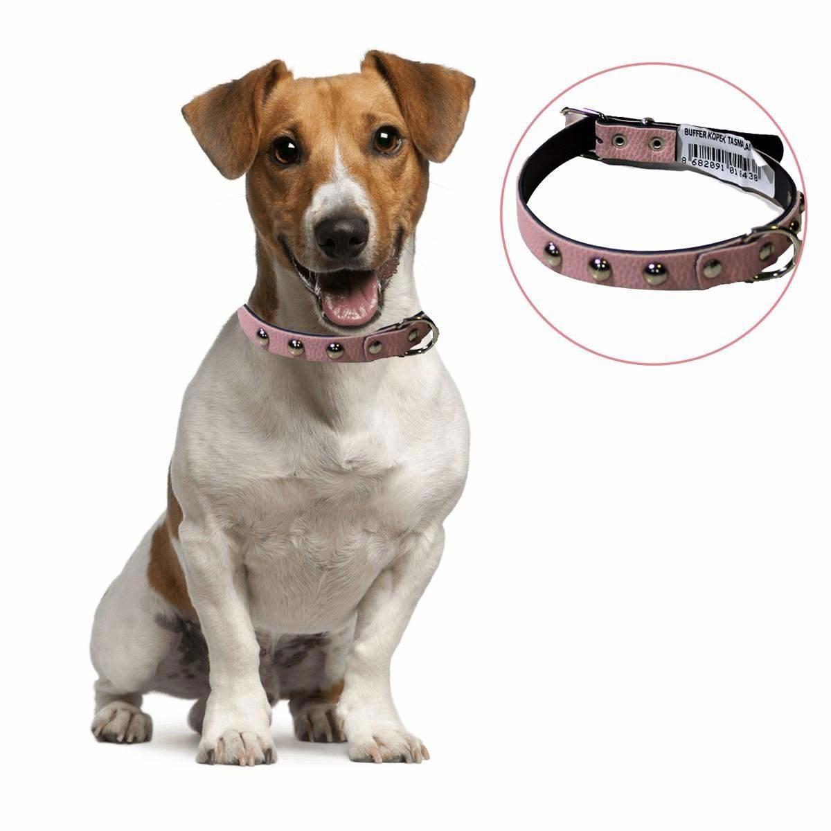 Buffer Boyun Köpek Tasması Pembe