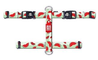 Max & Molly Watermelon Ayarlanabilir Göğüs Köpek Tasması Çok Renkli