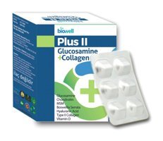 Biowell Plus II Glucosamine Kolajen 60 Kapsül