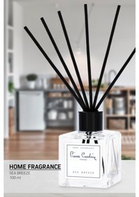 Pierre Sea Breeze Oda Kokusu 100 ml