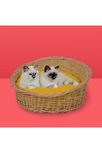 Bygolden Yıkanabilir Ayaklı Küçük Irk İç Dış Mekan Köpek Yatağı Sarı