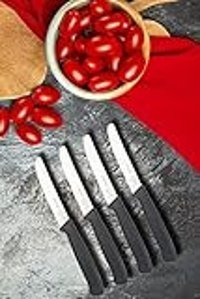 Pm Leonardo Swiss Gourmet 10.5 cm Plastik Saplı Paslanmaz Çelik 4 Parça Meyve Sebze Soyma Doğrama Bıçak Seti