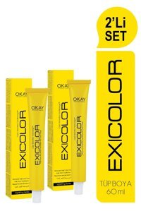 Exicolor 12.V0 Somon Moru Krem Saç Boyası 2x60 ml