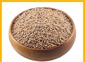 Gaziantep Pazarı Beluga Mercimek 10 kg