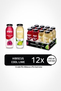 Pin Hibiscus Soğuk Çay 12x250 ml