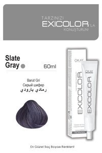 Exicolor Barut Gri Krem Saç Boyası 2x60 ml