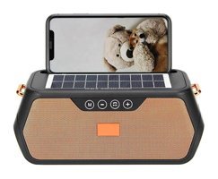 Concord FP81S Bluetooth Hoparlör Gold