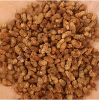Lezzet Festivali Hoşaflık Dut Kurusu 1 kg
