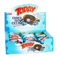 Elvan Today Double Choco And Cream Yabanmersinli Kek 24x50 gr
