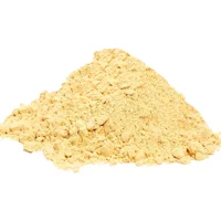 Lokman Avm Vegan Zencefil Toz 50 gr
