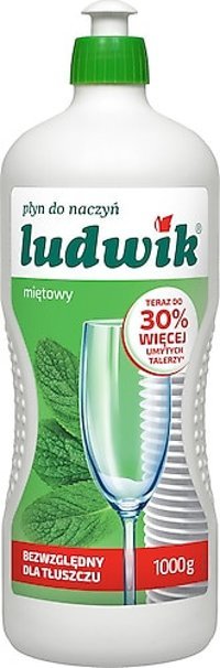 Ludwik Nane Kokulu El Bulaşık Deterjanı 1 lt