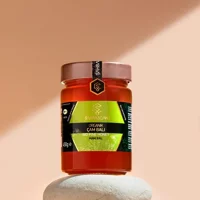 Şahbaz Organik Çam Balı 450 gr