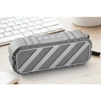 Paleon LCN-611C Bluetooth Hoparlör Gri