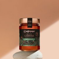 Eğriçayır Organik Çam Balı 450 gr