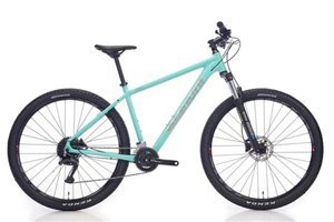 Bianchi MAGMA 29.1 29 Jant 24 Vites Dağ Bisikleti Yeşil