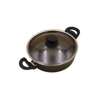 Penguen PNG-10920 Cam Kapaklı 2 Parça 24 cm Granit Basık Tencere