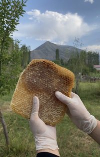 Yöresel Erzurum Ürünleri Karakovan Petek Balı 1 Kg