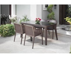 Bintaş Mobilya 150x90 cm Kahverengi Dikdörtgen Plastik Bahçe Masası