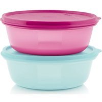 Tupperware 4'lü Plastik Saklama Kabı 2x600 ml