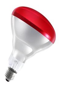 Ledvance 250 W Kırmızı E27 Armut LED Ampul