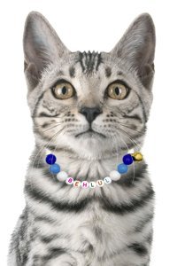 Petella Boncuklu Çok Renkli Ayarlanabilir Gezdirme Boyun Kedi Tasması