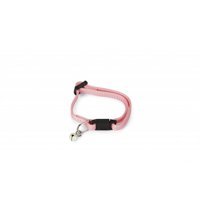 Beeztees Pembe Gezdirme Boyun Kedi Tasması