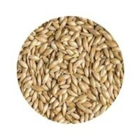 Burakpet Kabuksuz Aspir Tohumlu Standart Kuş Yemi 1 kg