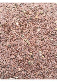 Natural Kabuksuz Keten Tohumlu Yetişkin Kuş Yemi 5 kg