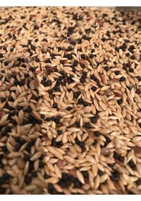 Vivid Bird Kabuksuz Karışık Standart Kuş Yemi 1 kg