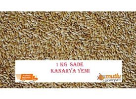 Atlantik Kabuksuz Aspir Tohumlu Standart Kuş Yemi 1 kg