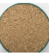 Vivid Bird Kabuksuz Aspir Tohumlu Vitaminli Yetişkin Kuş Yemi 10 kg
