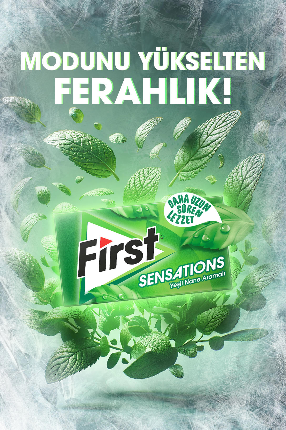 First Sensations Yeşil Naneli Sakız 12'li 12 Adet