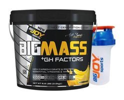 Ronic Nutrition Gainer Mass Ultimate Çikolata Aromalı 13 Servis Kilo Aldırıcı Gainer 2 kg Toz