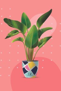 Tranquill Rainsbanana Leaf Potted Tree (Whispering Leavesstories In Tranquil Rain) Rains, Tranquill Independently Publıshed