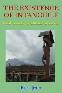 The Exıstence Of Intangıblewhat Form Of İntangible Beings Are We? Jeon, Rosa Independently Publıshed