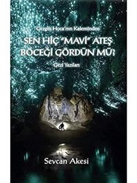Sen Hiç Mavi Ateş Böceği Gördün Mü?GezgIn Hoca'Nın Kaleminden Sevcan Akesi Artshop Yayıncılık
