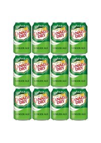 Canada Dry Ginger Ale Zencefilli Kutu Gazoz 12 Adet 330 ml