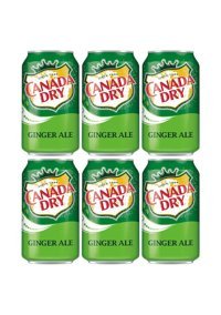 Canada Dry Ginger Ale Zencefilli Kutu Gazoz 6 Adet 330 ml