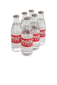 Niğde Gazozu Şekersiz Sade Şişe Light Gazoz 48 Adet 250 ml