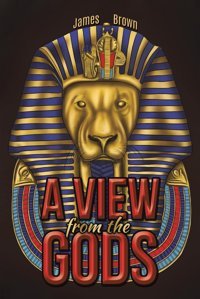 A View From The Gods Brown, James AustIn Macauley Publishers Ltd