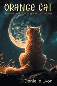 Orange Catbetween The Lightning And The Thunder Lyon, Danielle Friesenpress