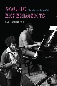 Sound Experimentsthe Music Of The Aacm Steinbeck, Paul University Of Chicago Press