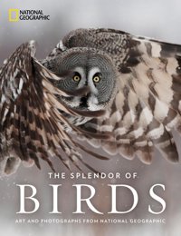 The Splendor Of Birdsart And Photographs From National Geographic National Geographic