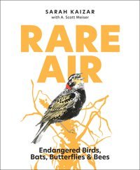 Rare Airendangered Birds, Bats, Butterflies, & Bees Kaizar, Sarah Mountaineers Books