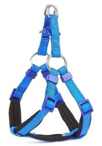 Doggie Comfort XXS Ayarlanabilir Göğüs Köpek Tasması Mavi