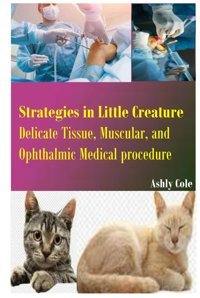 Strategies İn Little Creature Cole, Ashly Independently Publıshed